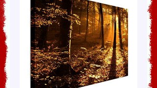 Deep Forest sunset modern Canvas Wall Art Print 40x30 inches