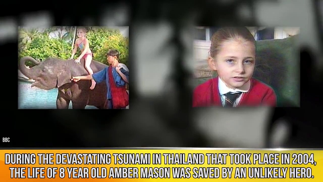 Unbelievable Animals That Saved Peoples Lives