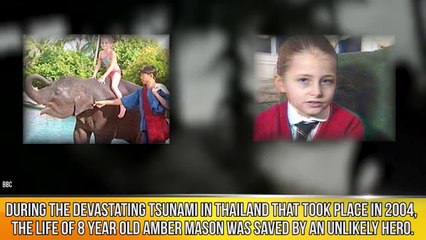 Unbelievable Animals That Saved Peoples Lives