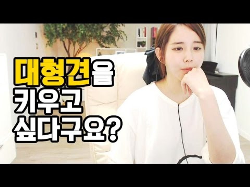김이브님♥반려동물과 살 때 마음가짐