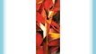 Franz Marc Stretched Canvas Print - Foxes 1913 (47 x 16 inches)