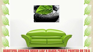 GREEN LEAF ON BLACK PEBBLE ON FRAMED PRINTS CANVAS WALL ART PICTURES FLORAL ART SIZE: 40 X