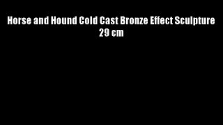 Horse and Hound Cold Cast Bronze Effect Sculpture 29 cm