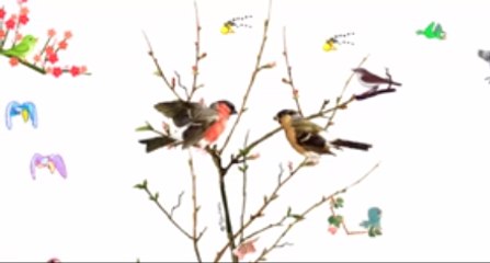 CON CHIM NON [Nhạc thiếu nhi sôi động]