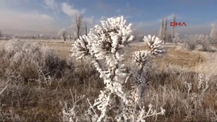Sivas Kırağı, Sivas'ı Beyaza Bürüdü
