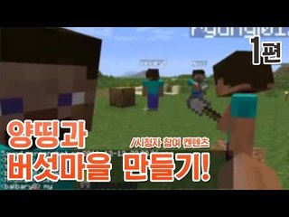 양띵 [양띵과 버섯마을 만들기! 1편 / 시청자 참여 컨텐츠] 마인크래프트