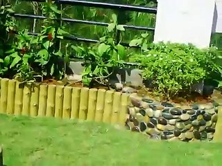 CMRS Group Roof top garden on our house in india