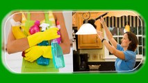 Los Angeles Based Cleaning Services for a Spotless House