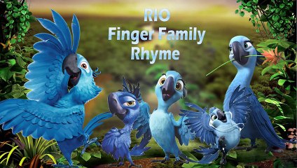 Angry Birds Cartoon Animation Finger Family Nursery Rhymes For Kids | Finger Family Nurser