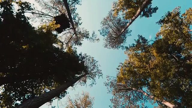 3 1/2 minutes - a Documentary about Jordan Davis premiering at Sundance