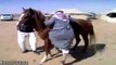 Most Funny Arab Videos 2016 HD