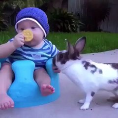 Hahaha Omg Naughty Rabit