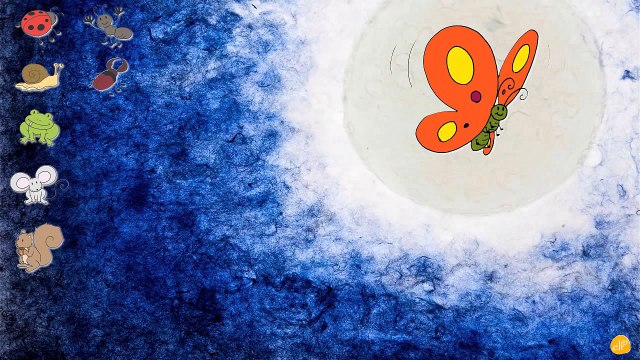 Creatures We See _ Bugs _ Animals _ Little Critters