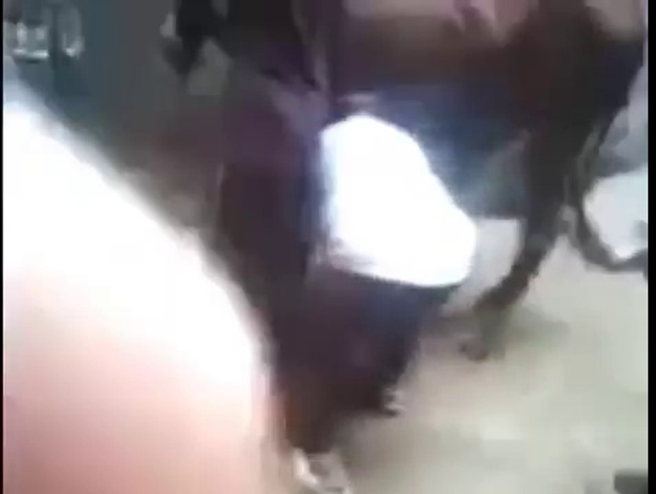 cow attacks ...real life