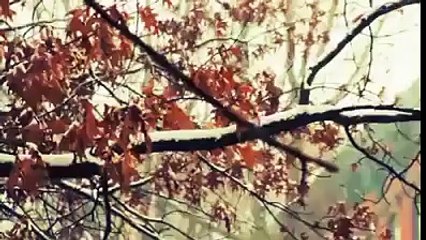 Allah ka Qabza... Moulana Tariq Jameel - A V.Beautiful Short Clip