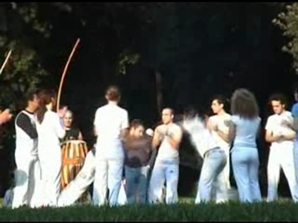 The Bridge - Thoughts Chewing