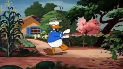 Cartonn Movies Donal Duck For Kids New Season