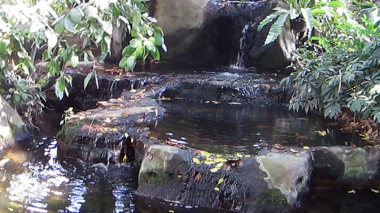 WAT PRA DOI SUTHEP SITE SACRE A CHIANG MAI (THAÏLANDE) LE 28 NOVEMBRE 2015