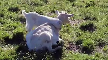 Anne olmak Böyle Bişey Sevimlilik Abideleri