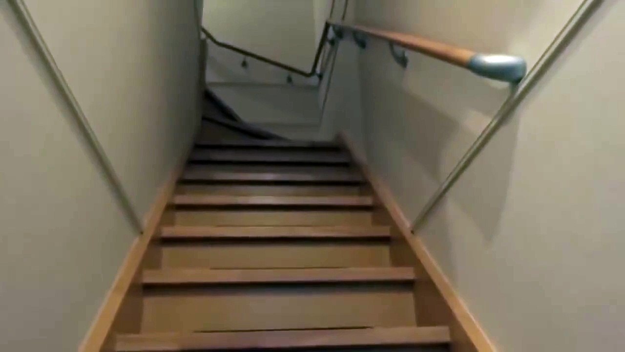 13. Хозяин пришел домой - кошка очень обрадовалась!