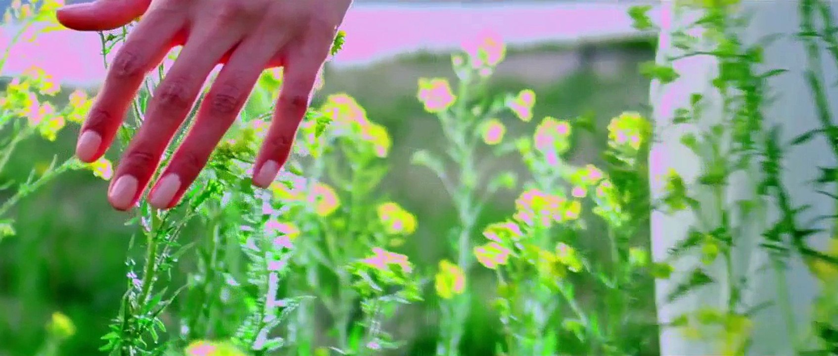 Amrinder Gill 'Supna' Full Video Song - Latest Punjabi Romantic Songs 2015 HD - Video Dailymotion