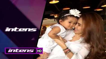 Highlight - Intens 29 Desember 2015