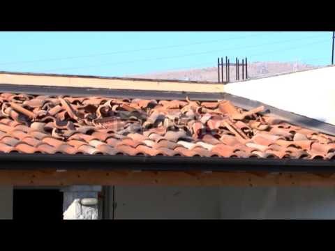 Report TV - Shpërthen eksploziv në një dyqan në Vau-Dejës, s'ka të lënduar