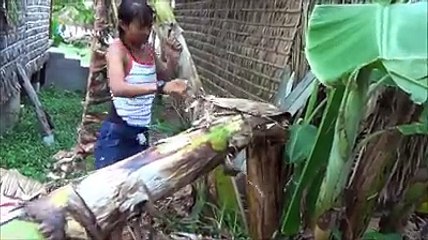 Tharoth Sam "Little Frog" vs Big Tree