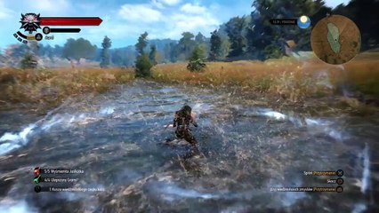 Wiedzmin 3 Dziki Gon - Okolice Oxenfurtu