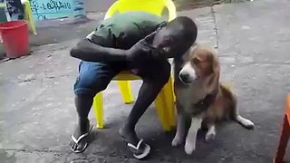 Very Funny hungry Dogy must watch