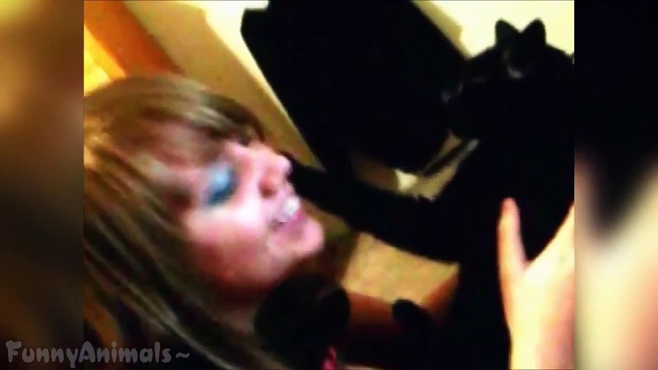 Cats Don't Like Being Kissed  Funny Cats 2015