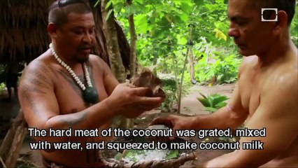 Why Do We Eat Meat? - Science on the Web #32