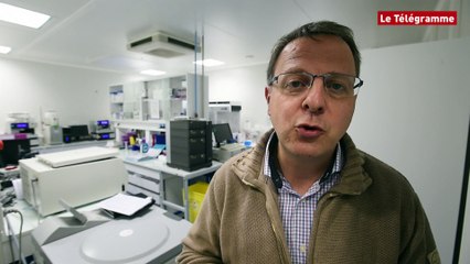 Biotech. Ces Bretons en pointe