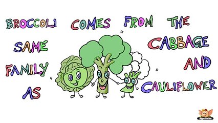 Fun Facts About Vegetables