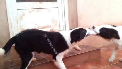 Eric&Epic...!!!
