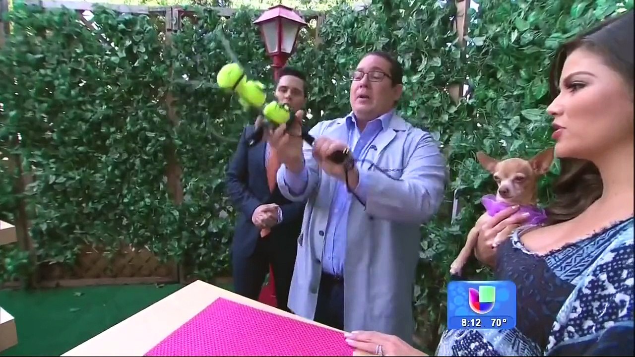 Pregnant Ana Patricia González cleavage on ¡Despierta América! 3 4 15 part 1
