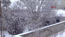 Sorgun'da Kar Yağışı Kazaları Beraberinde Getirdi -2