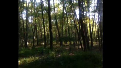 100% REAL BIGFOOT SIGHTING