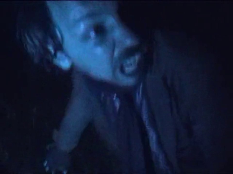 Die Blutnacht der Habergeiß (1988)