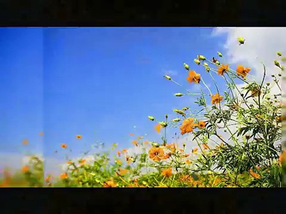 O Batas Amay Tumi Niye Jao-- Bangla Gojol 2015 New