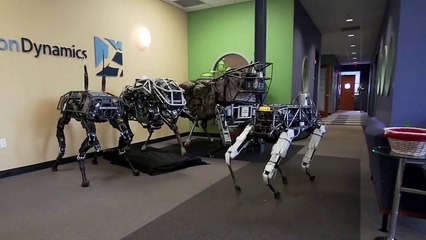 Spot, the new DARPA robot for field investigation