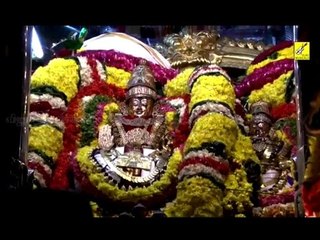 Karthigai Deepam | Thiruvanamalai | Om Namasivaya Om