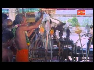 murugan HD songs aarudai veedu thaipoosam special