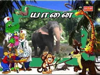 Animals in Tamil 🐾
