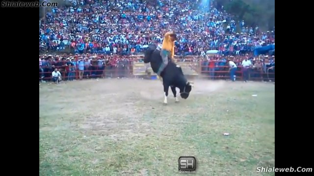 SUPER JARIPEO CON LOS TOROS DESTRUCTORES DE MEMO OCAMPO LA MEJOR Y MAS FAMOSA GANADERIA EN LA CANADA MUNICIPIO DE COENEO DICIEMBRE 2015