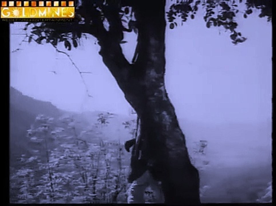 Meri Surat Teri Aankhen Old Songs Tere Bin Soone Nain Humare  Lata Mangeshkar, Mohammed Rafi