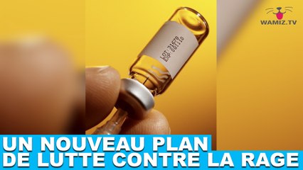 Un nouveau plan de lutte contre la rage ! Découvrez-le maintenant dans la minute chien #85