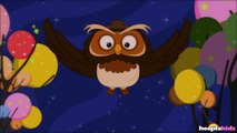 A Wise Old Owl | Nursery Rhymes by Hooplakidz