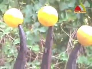 SamiSamiSami Kaval Deivam Karuppasamy