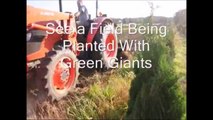 About Spacing Trees and Planting Trees in a Field